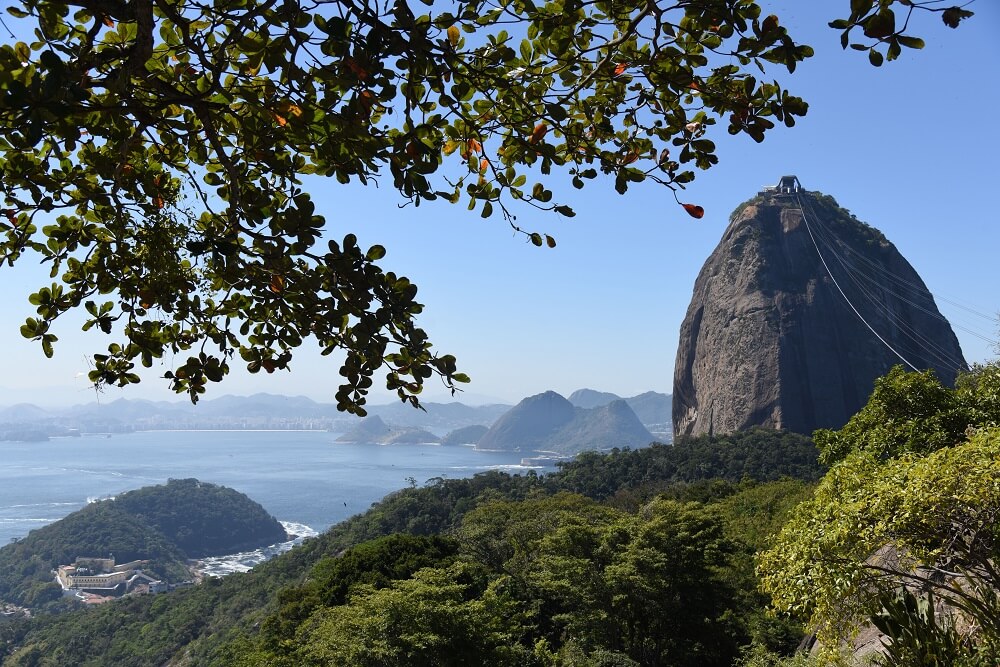 Sugar Loaf view 